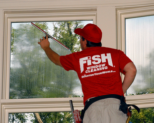 Fish Window Cleaning - Melbourne, Palm Bay, And The Space Coast Area ...