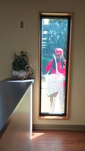 window cleaner cleaning window of a house