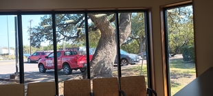 professionally cleaned windows