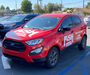 red fish window cleaning car